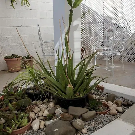 Templar Famagusta (Northern Cyprus)